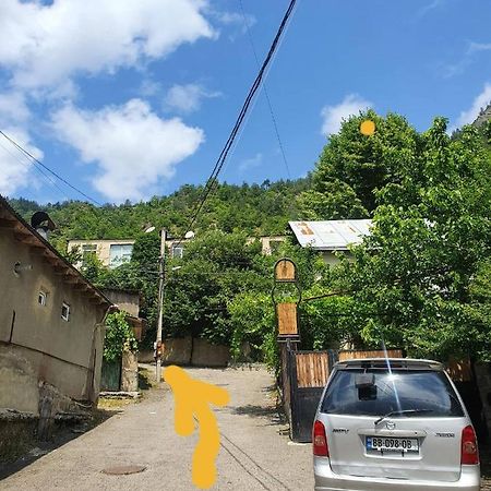 Nari Apartment Bordżomi Zewnętrze zdjęcie